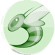 bittorrent